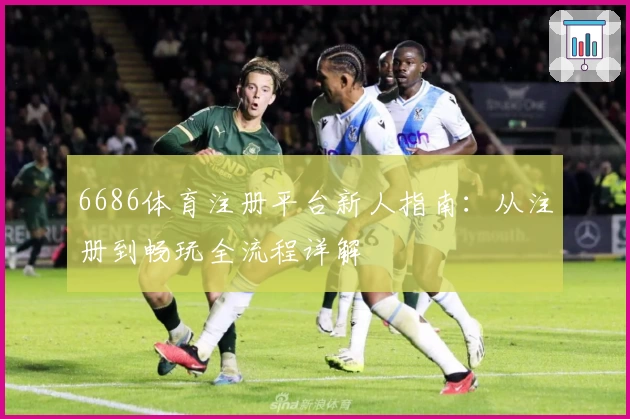 6686体育注册平台新人指南:从注册到畅玩全流程详解