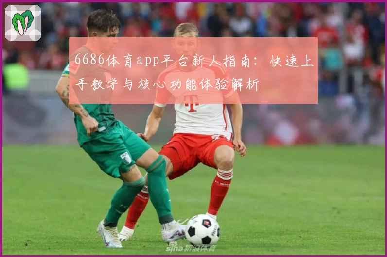 6686体育app平台新人指南：快速上手教学与核心功能体验解析